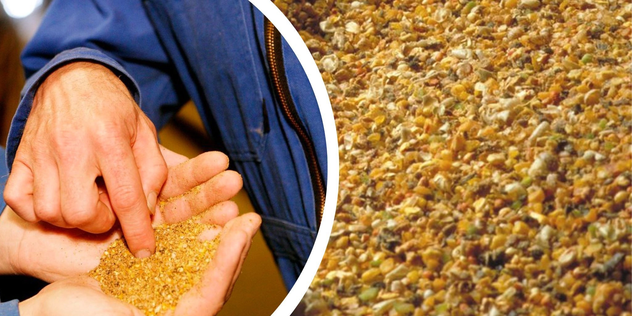 Header hand met pluimveevoer